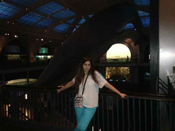 museo