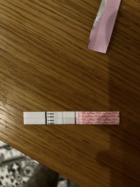 🌹 Buscadoras Mayo 2025 🌹 2