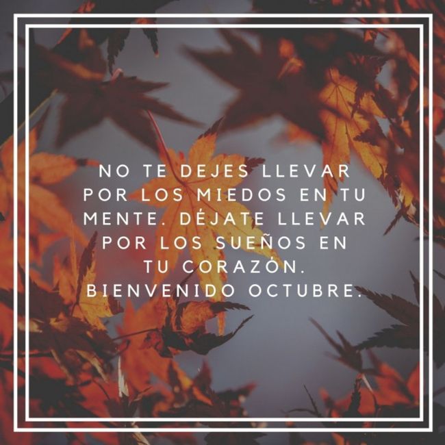 💚Buscadoras Octubre 2021 💚 9