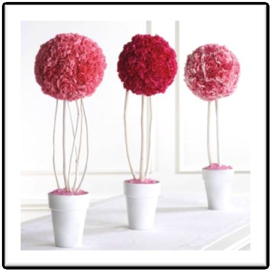 pomanders en maceta