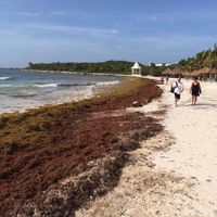 Cuidado en riviera!!! - 2