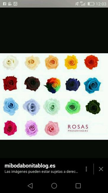 Ramo novias  no naturales - 1