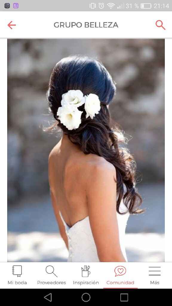 Novias con trenza - 2