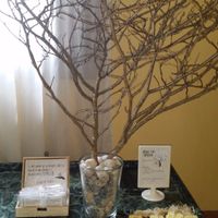 Árbol de los deseos