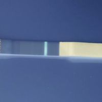 Buscadoras Enero 2023 - 1