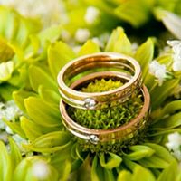 Anillos - 1