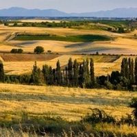 Palencia
