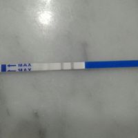 Buscadoras después de uno o varios abortos ii - 1