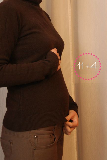 11 semanas 4 dias