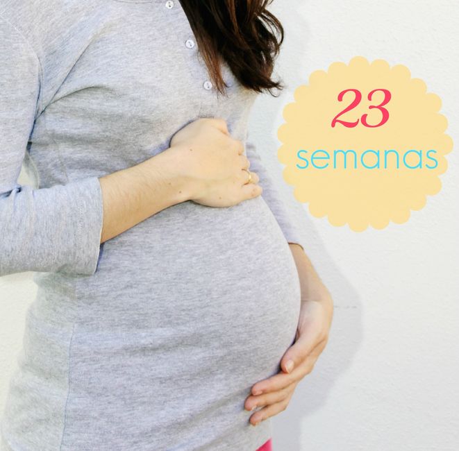 23 semanitas