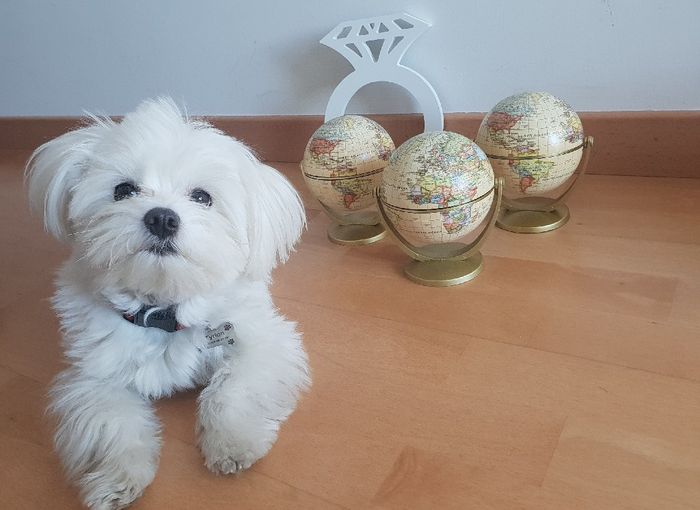 Tyrion vuelve con más cositas... - 2