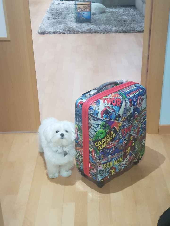 Regalos para el marinovio! - 2