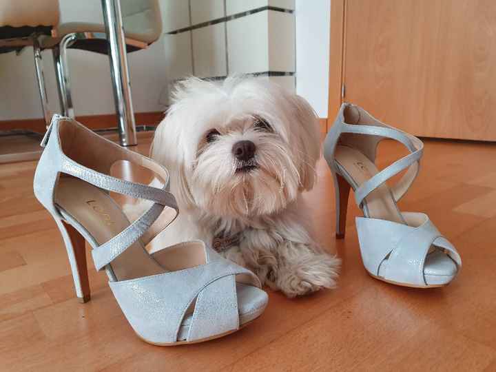 ¿Tienes fotos de tus zapatos? - 1