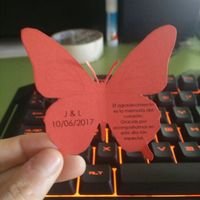 Mariposas de agradecimiento - 1