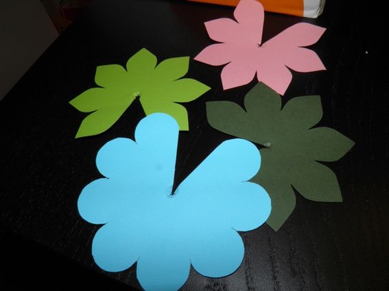 flores de arroz