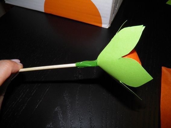 flores de arroz