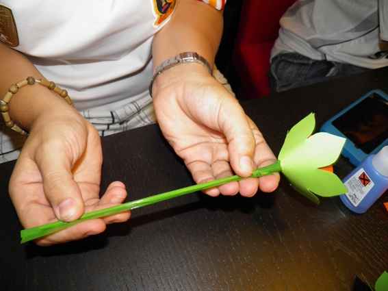 flores de arroz