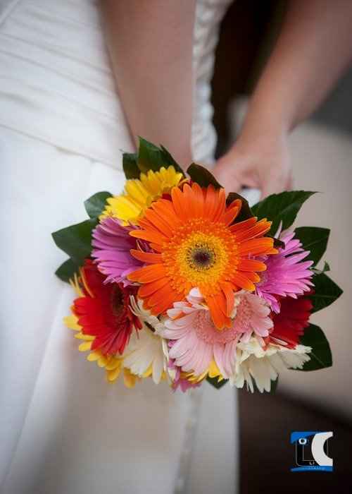 Mi ramo de gerberas