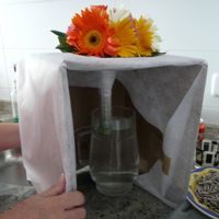 Cómo me trajeron el ramo a casa