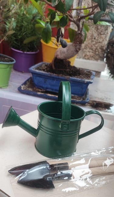 Seguimos con avances: Ceremonia de la plantación - 1