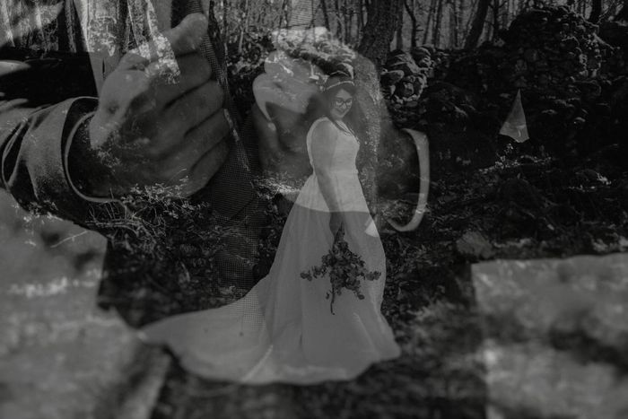 Un bosque, cámaras y mucho love - 6