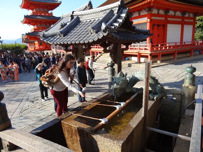 Japón, itinerario y consejos, nuestra experiencia 8