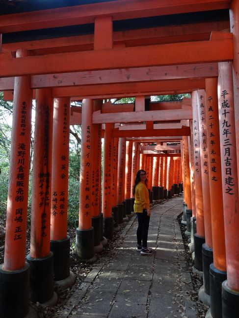 Japón, itinerario y consejos, nuestra experiencia 14
