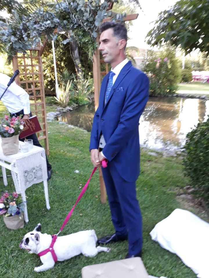 Perretes en una boda? Por supuesto!! - 6