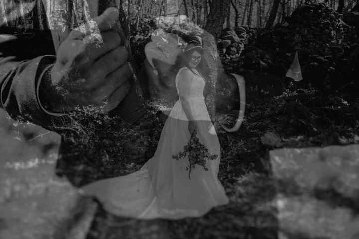 Un bosque, cámaras y mucho love - 6