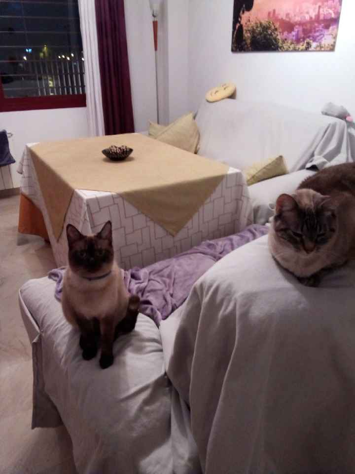 Mi mascota se llama _______ - 1