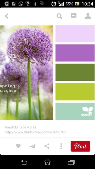 Ideas paleta de colores - 8