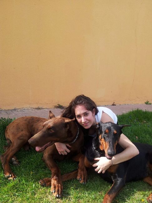 No sin perros!!! - 1