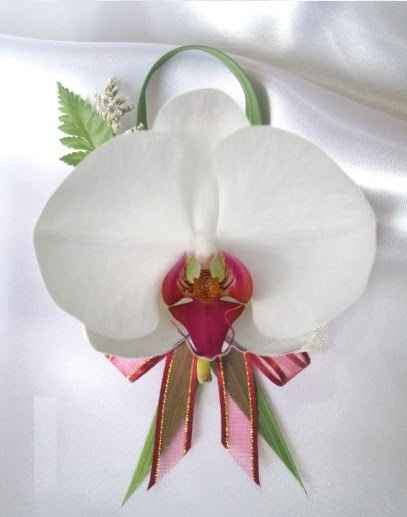 orquidea de prendido