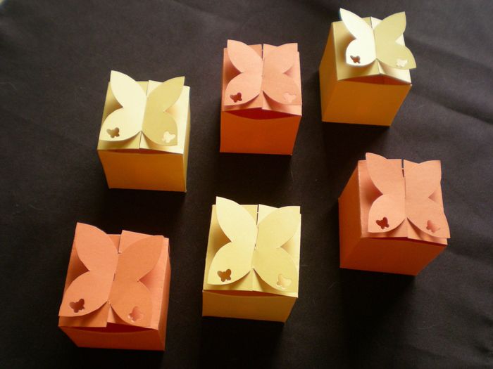 Cajas de mariposas