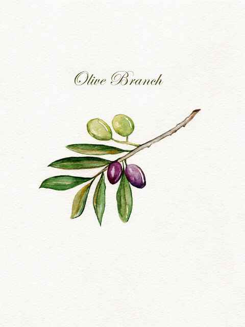 S.o.s. plantillas de ramas de olivo - 1