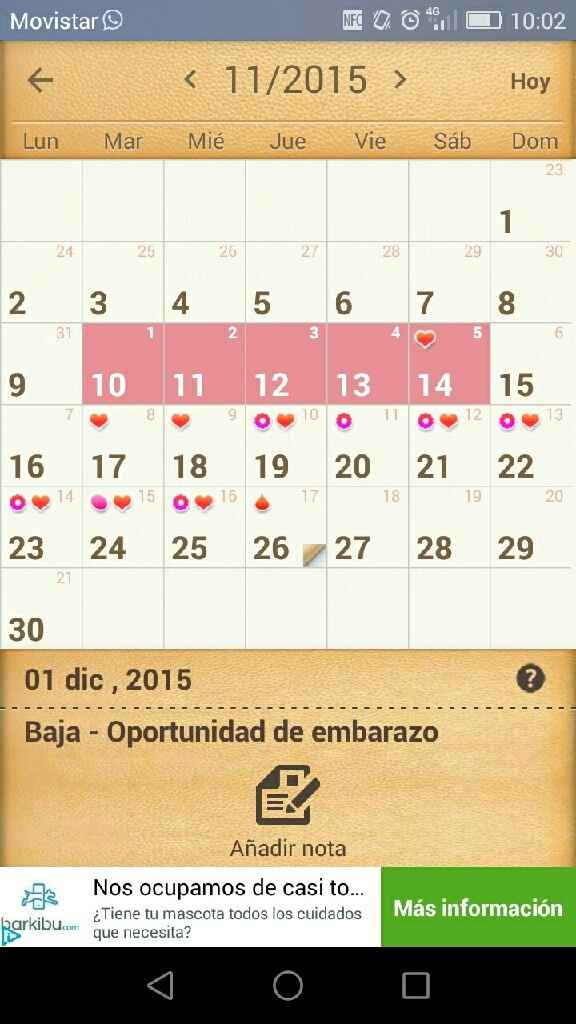 Buscadoras diciembre - 1