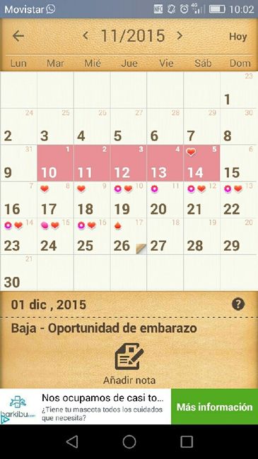 Buscadoras diciembre - 1