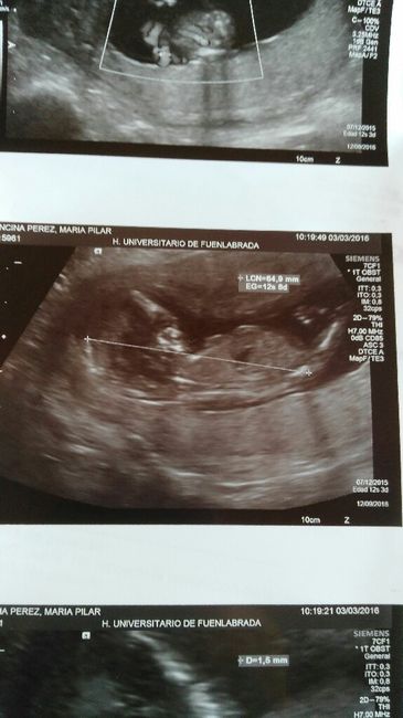 Futuras mamas septiembre 2016 - 1
