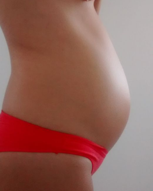 panza 24+3