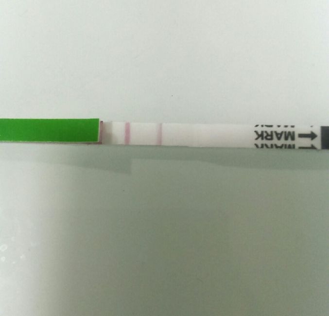 Expertas en test de ovulacion - 1