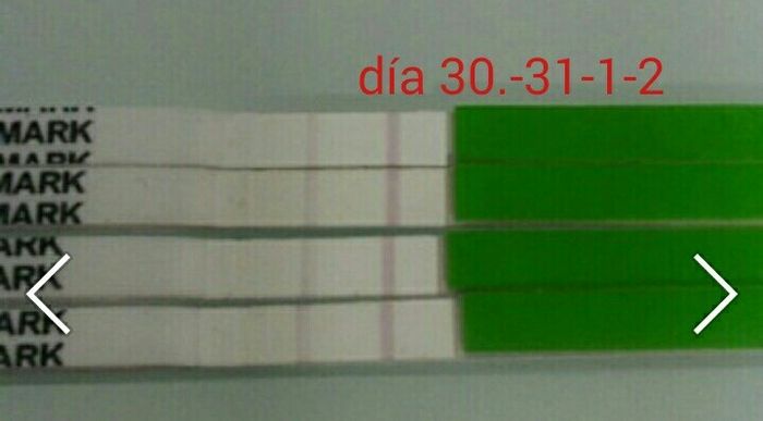Resuelvo dudas sobre los to (test de ovulacion) - 2