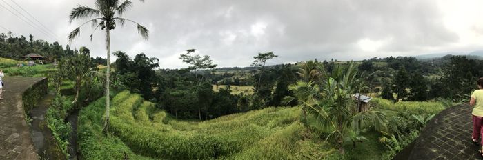 Indonesia 2018 - 2
