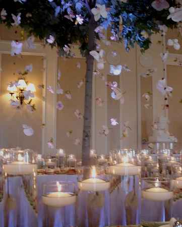 decoracion mariposas