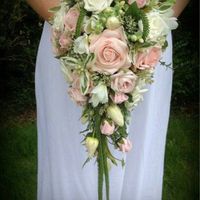 Que ramo elegir??? help me - 1