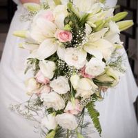 Que ramo elegir??? help me - 2