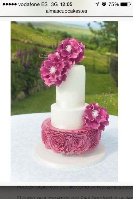 Tarta Paul B.