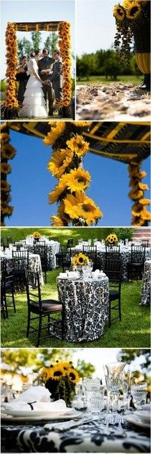 Girasoles
