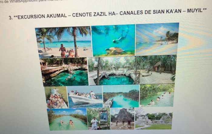 Rivera maya excursiones - 3