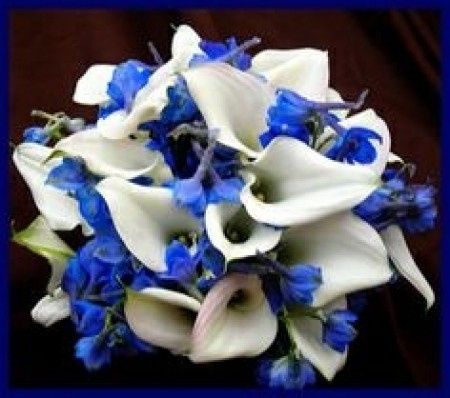Flores Azules - 1