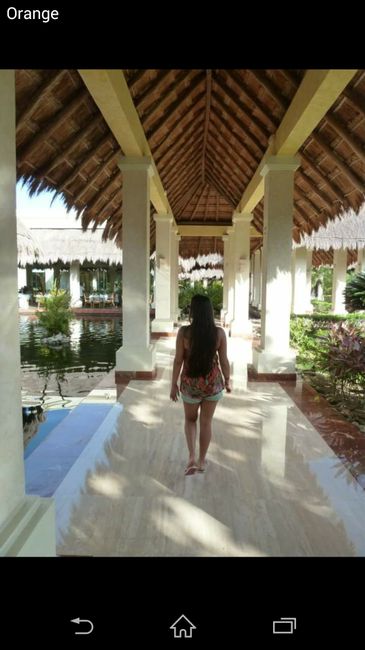 Iberostar o palladium??? - 4